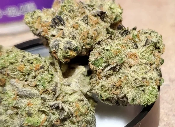 Headbanger Strain