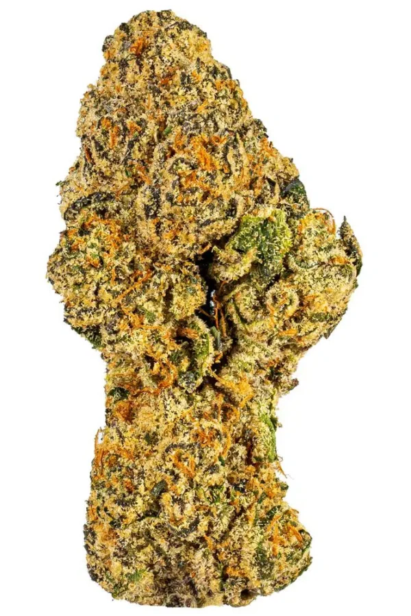 Gushers strain