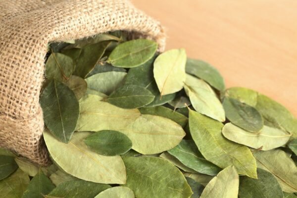 buy coca leaves in Canada